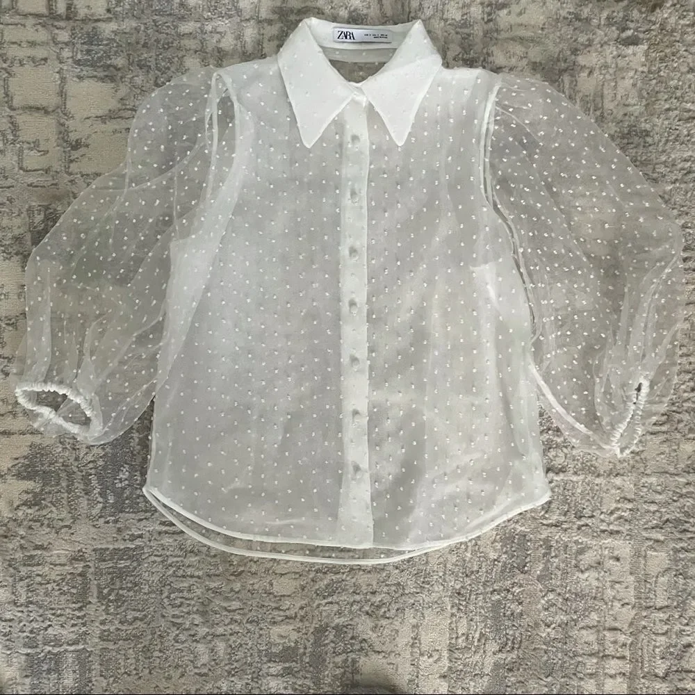 ZARA Organza Puff Sleeve Blouse Blogger Choice
